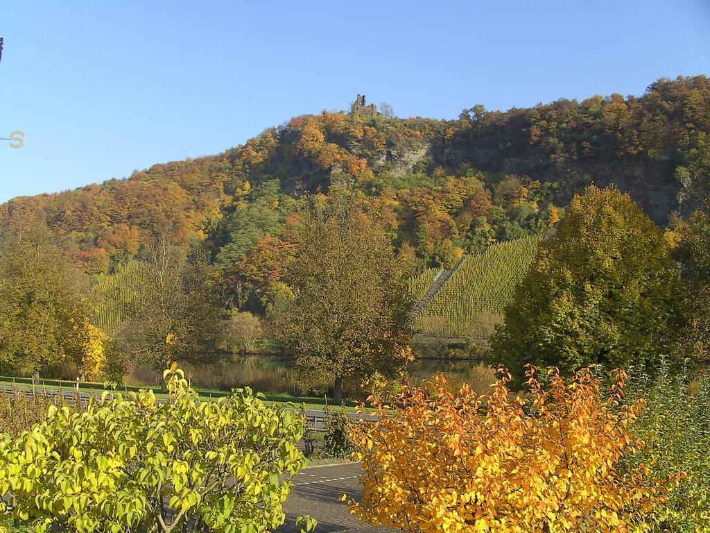 Haus Klosterblick Kröv Kültér fotó