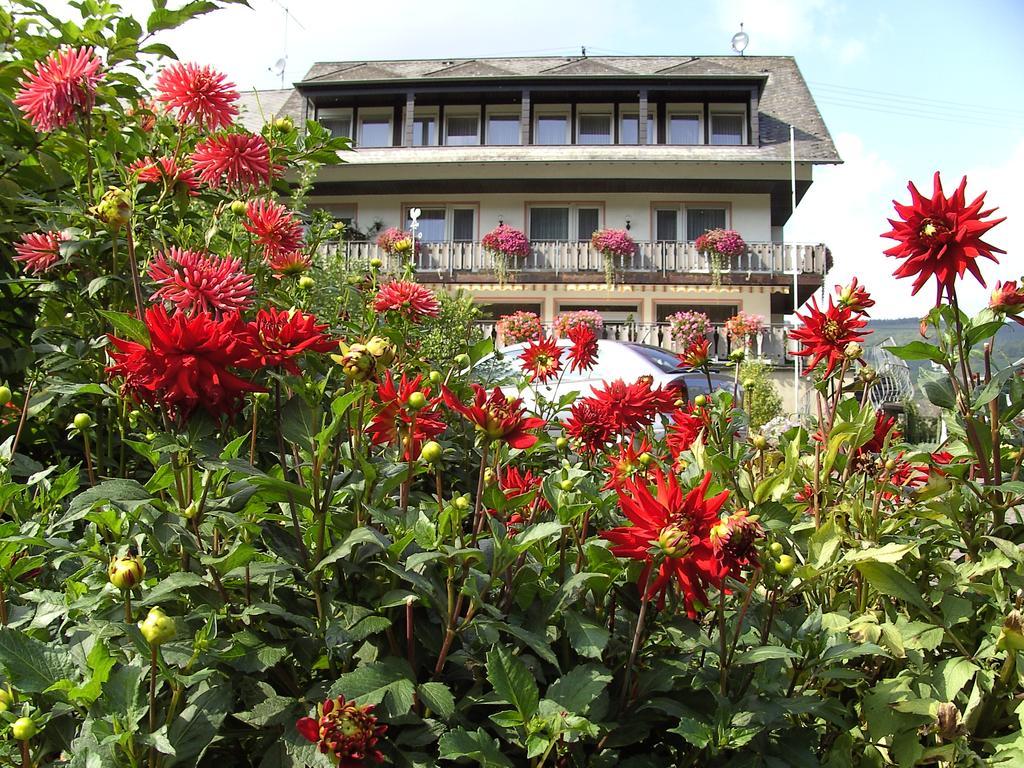 Haus Klosterblick Kröv Kültér fotó